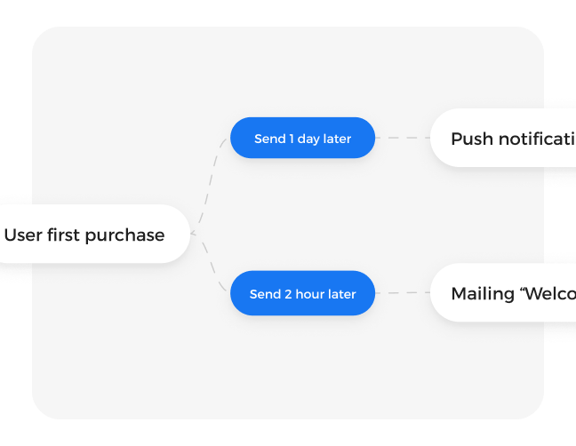 Masivo loyalty software